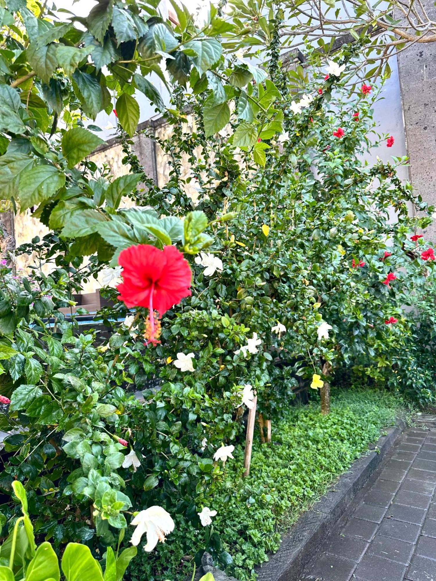 Radha Bali Hotel Кута Екстериор снимка